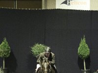 M-springen 201113_2843